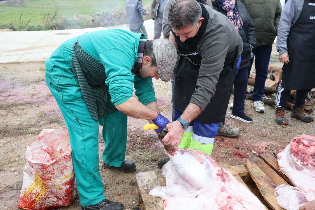 Galindo y Perahuy celebra la I Fiesta de la Matanza Tradicional