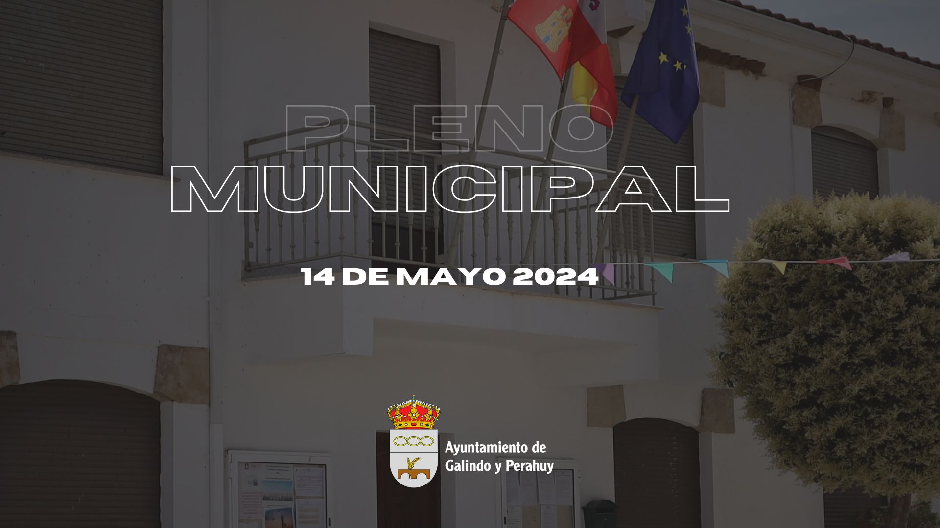 Pleno 14 mayo