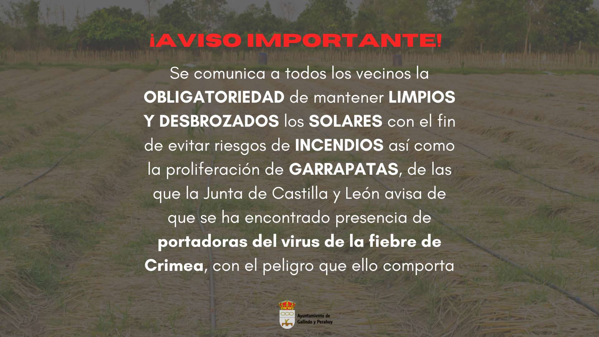 Limpieza de solares