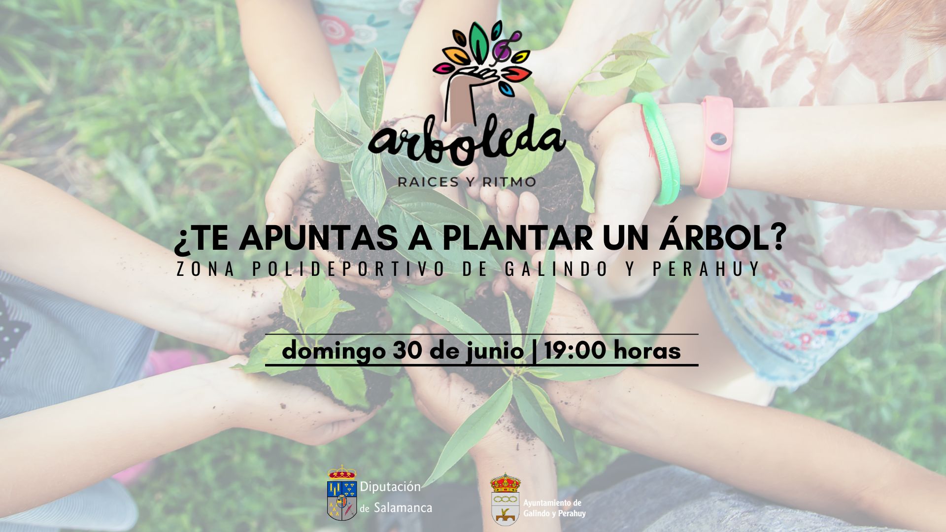 Evento Arboleda en Galindo y Perahuy