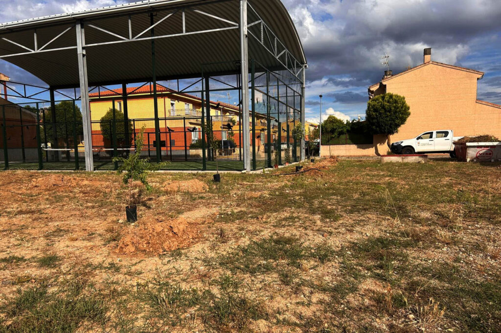Galindo y Perahuy, más verde gracias al proyecto Arboleda: Raíces y Ritmo