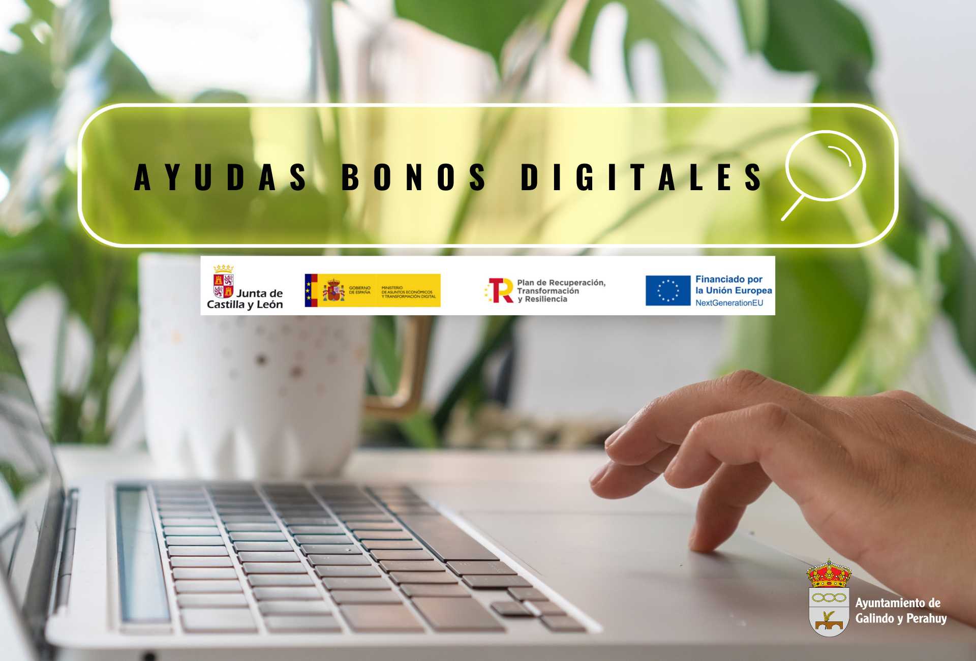 Ayudas bonos digitales