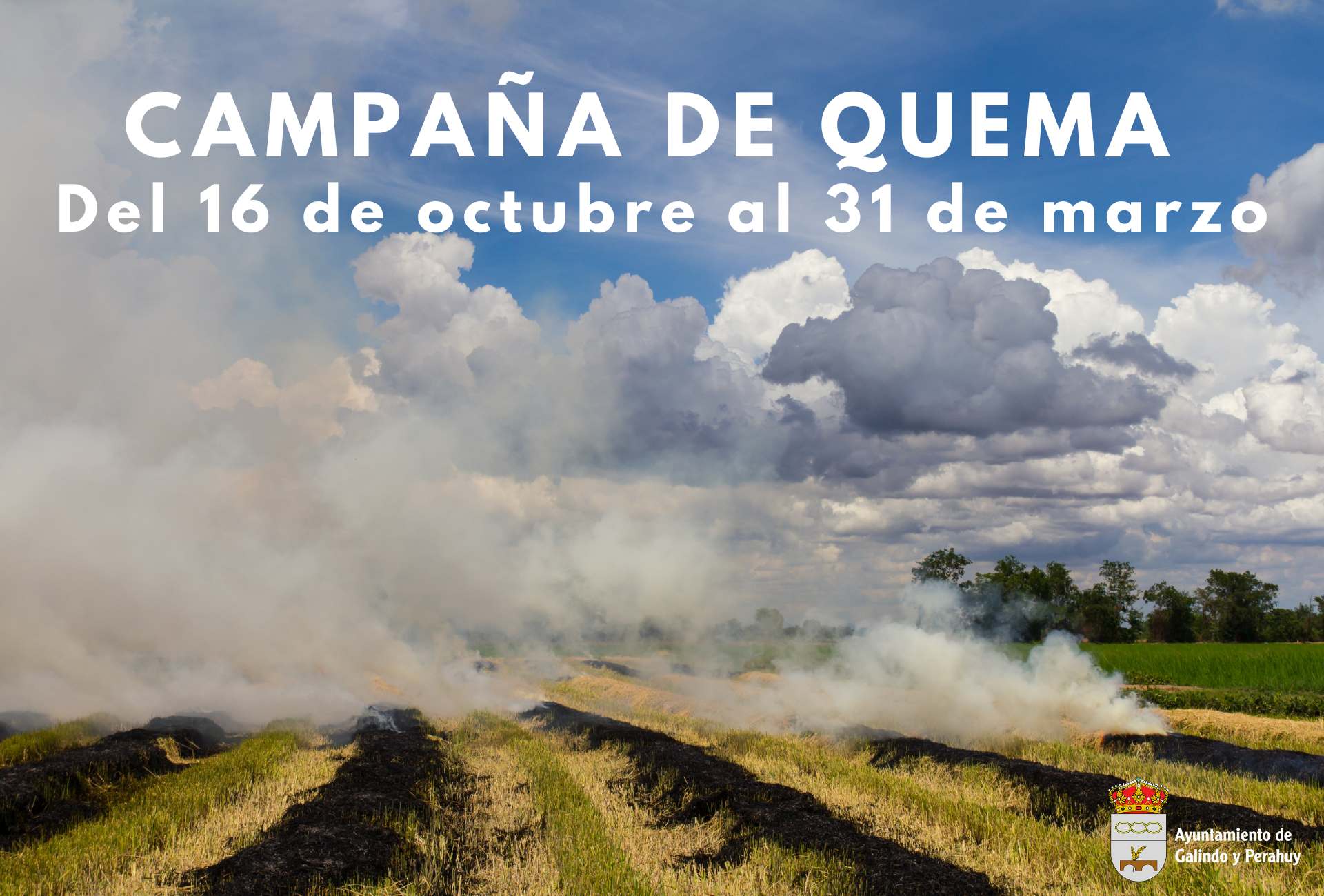 Campaña de quema