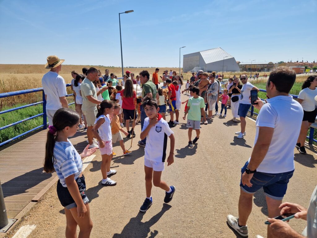 Éxito de participación en el encierro de minibueyes de las fiestas de Santo Tomás