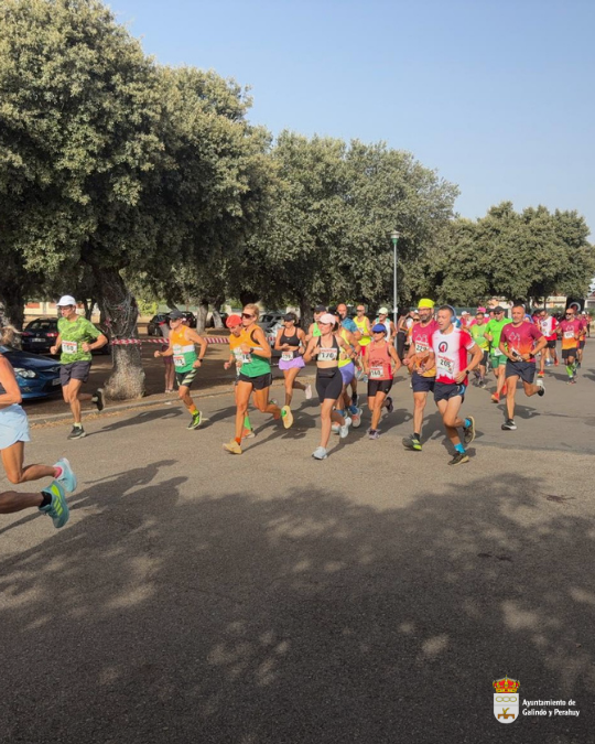 El III Cross Urbanizaciones LA RAD reúne a 215 participantes